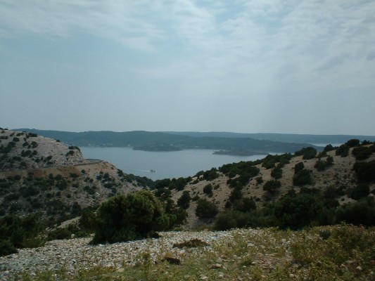 2002080302_004.jpg