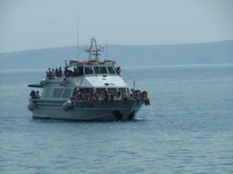 sommer2005-0056.jpg