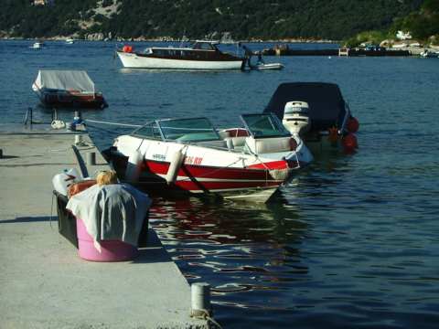 sommer2005-0149.jpg
