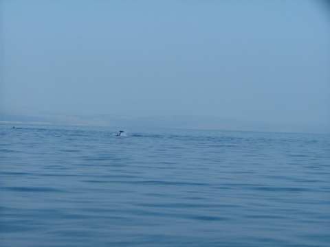 sommer2005-0351.jpg