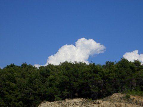 cimg3004.jpg
