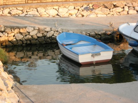 dscn2547.jpg