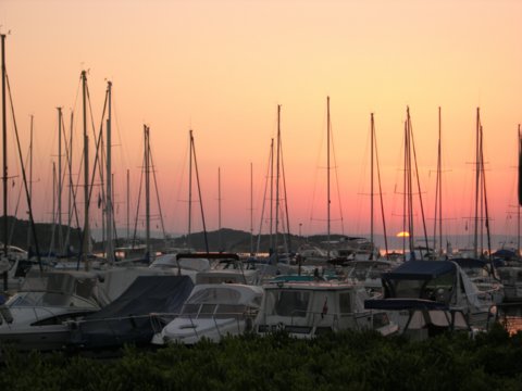 dscn2563.jpg