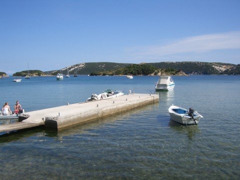 cimg0208.jpg