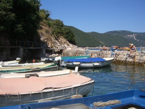 cimg0217.jpg