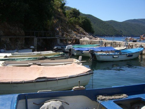 cimg0232.jpg