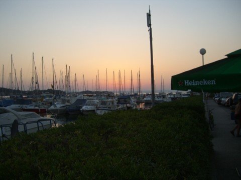 cimg0586.jpg
