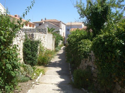 cimg0630.jpg