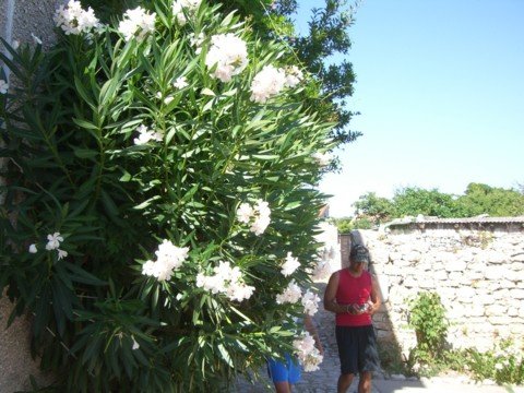 cimg0631.jpg