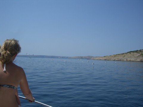 cimg0695.jpg