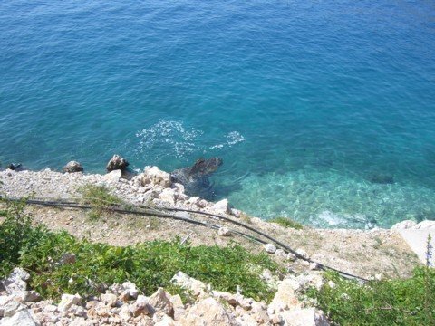 cimg0710.jpg