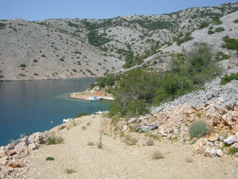 cimg0717.jpg