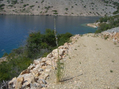 cimg0719.jpg