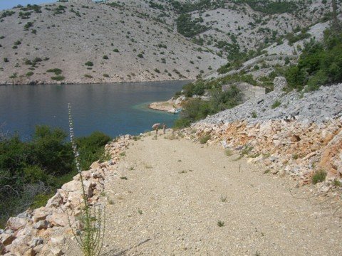 cimg0723.jpg