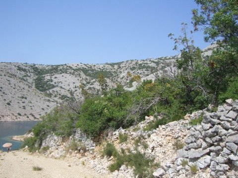 cimg0725.jpg