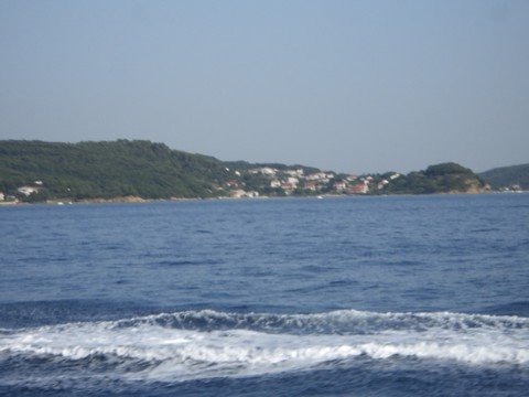 cimg1388.jpg