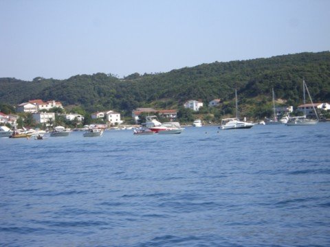 cimg1395.jpg