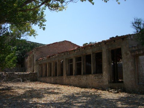 cimg1415.jpg