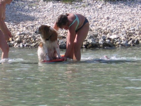 img_0759.jpg