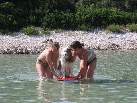img_0761.jpg