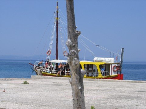 img_0772.jpg