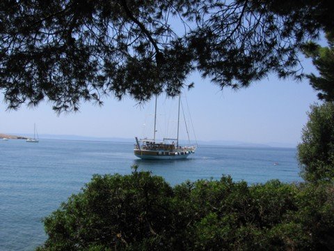 img_0782.jpg