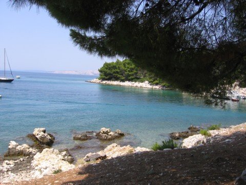 img_0783.jpg