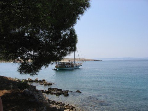img_0786.jpg
