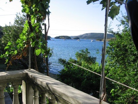 img_0850.jpg