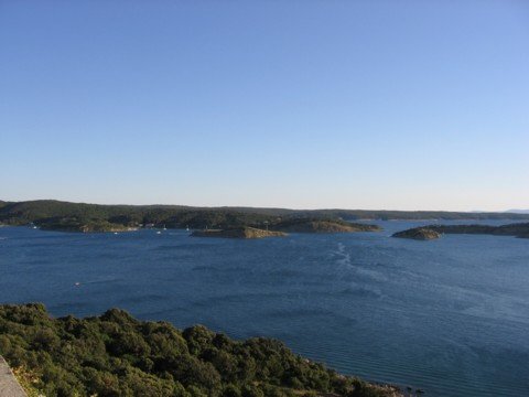 img_0852.jpg