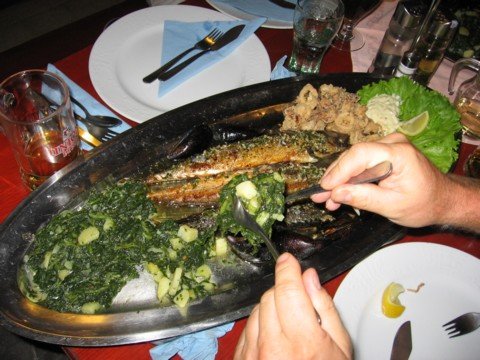 img_0867.jpg
