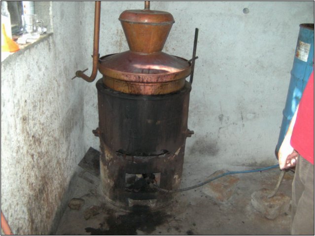 bild0084.jpg