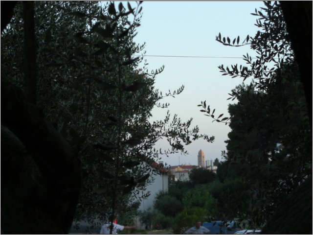 cimg0404.jpg