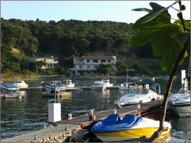 cimg0413.jpg