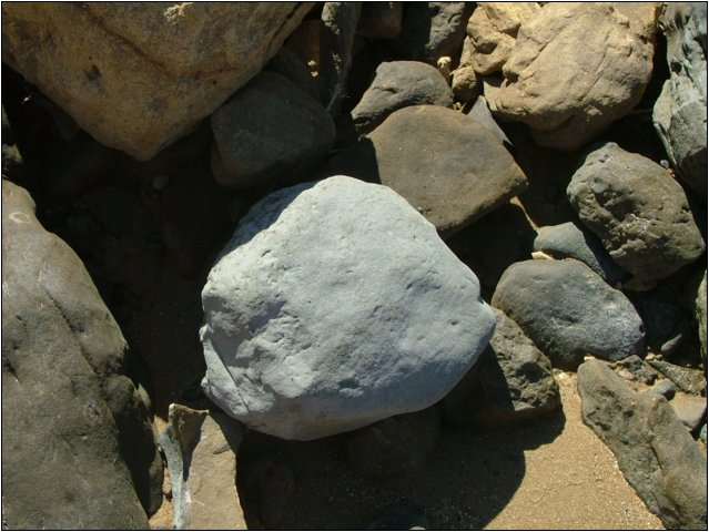 dscf6445.jpg