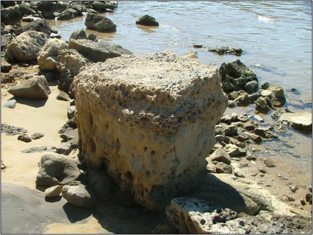 dscf6446.jpg