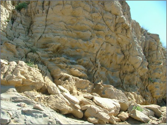 dscf6447.jpg