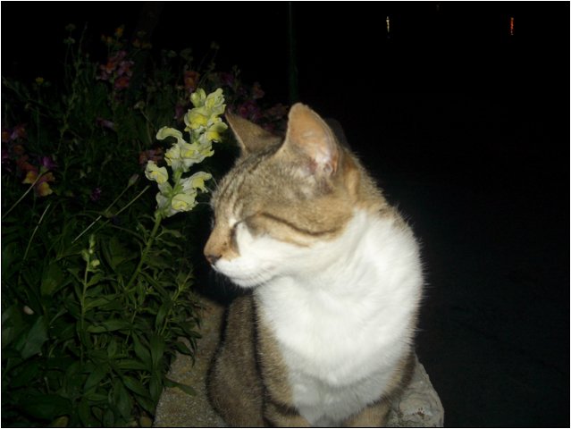 imgp2244.jpg