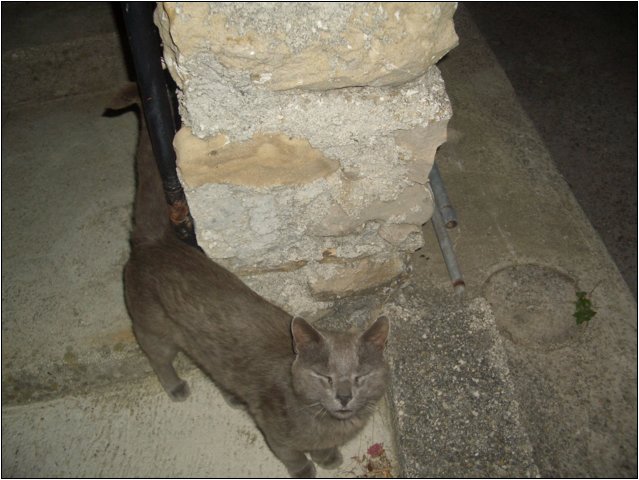 imgp2246.jpg