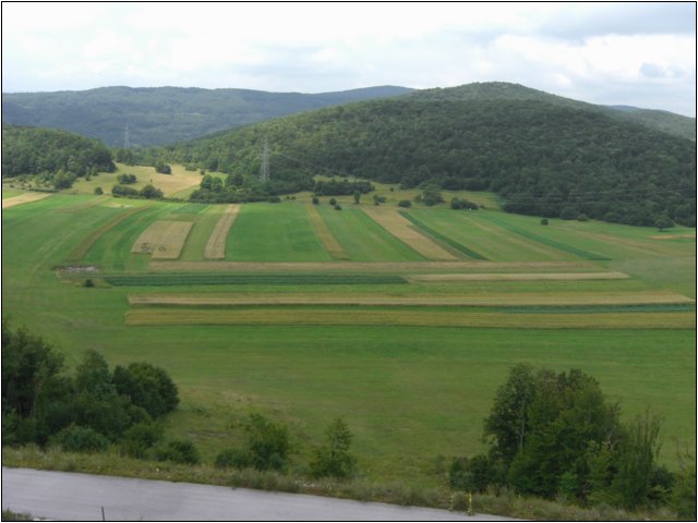 cimg4565.jpg