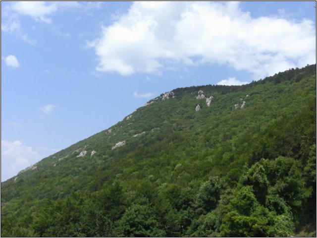 cimg4575.jpg