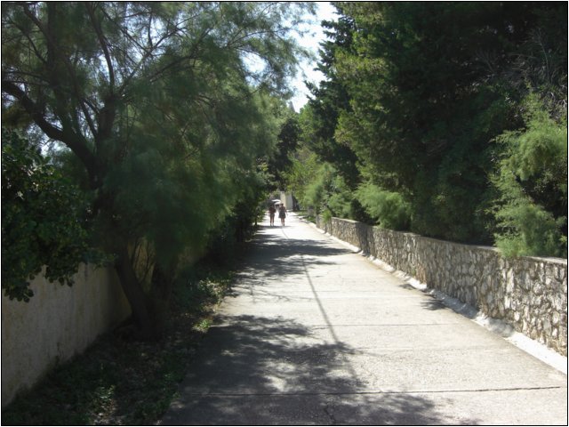 cimg4930.jpg