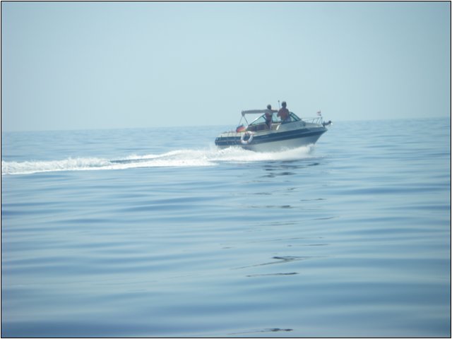 imgp1105.jpg