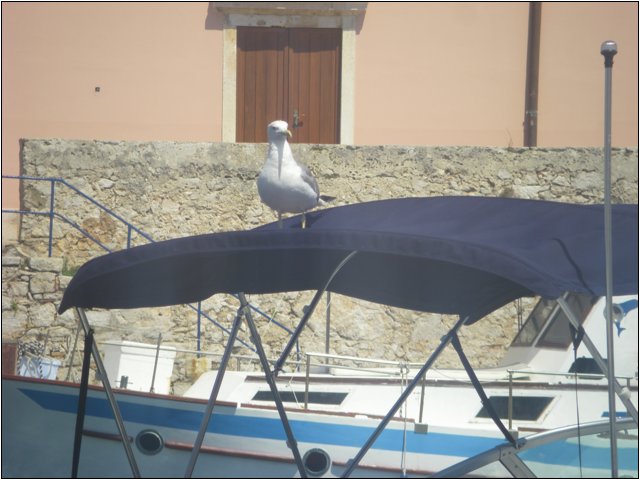 imgp1128.jpg