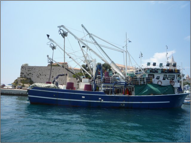 p1000284.jpg