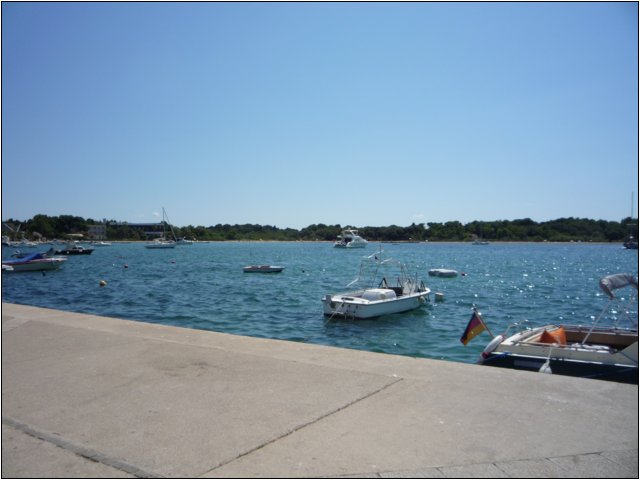 p1000355.jpg
