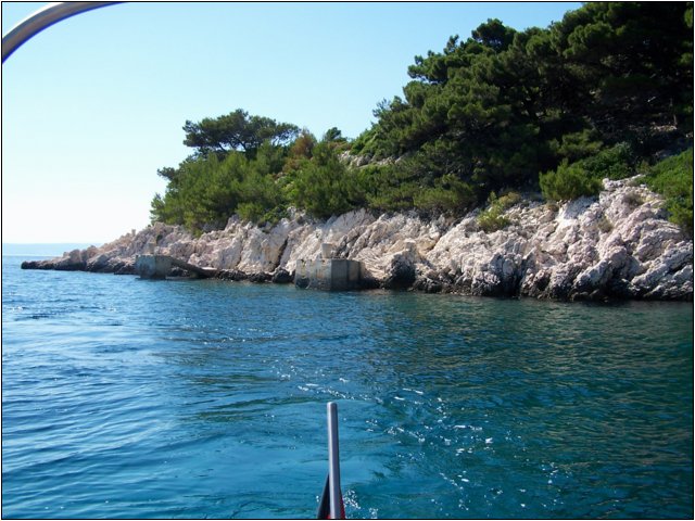 100_9943.jpg